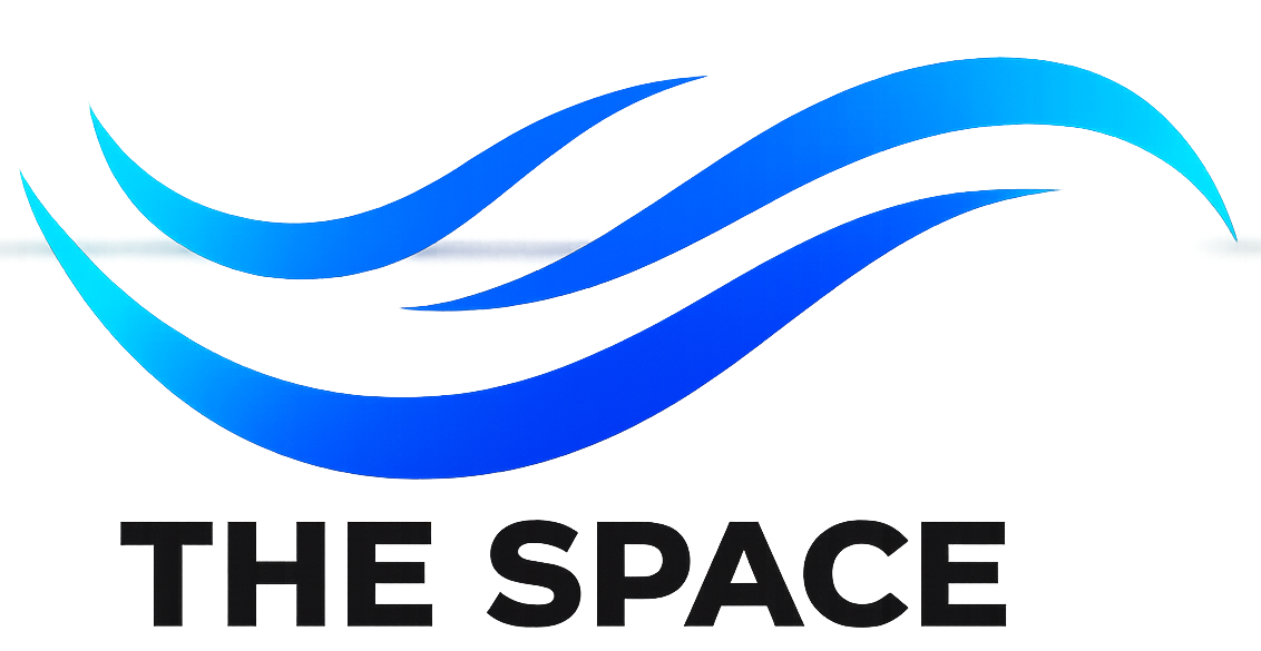 The Space Logo